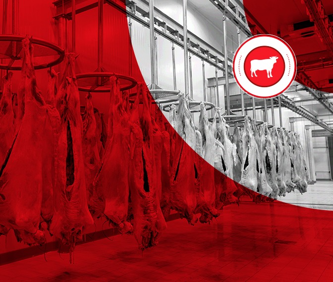 Matadero e instalaciones de procesamiento de carne roja