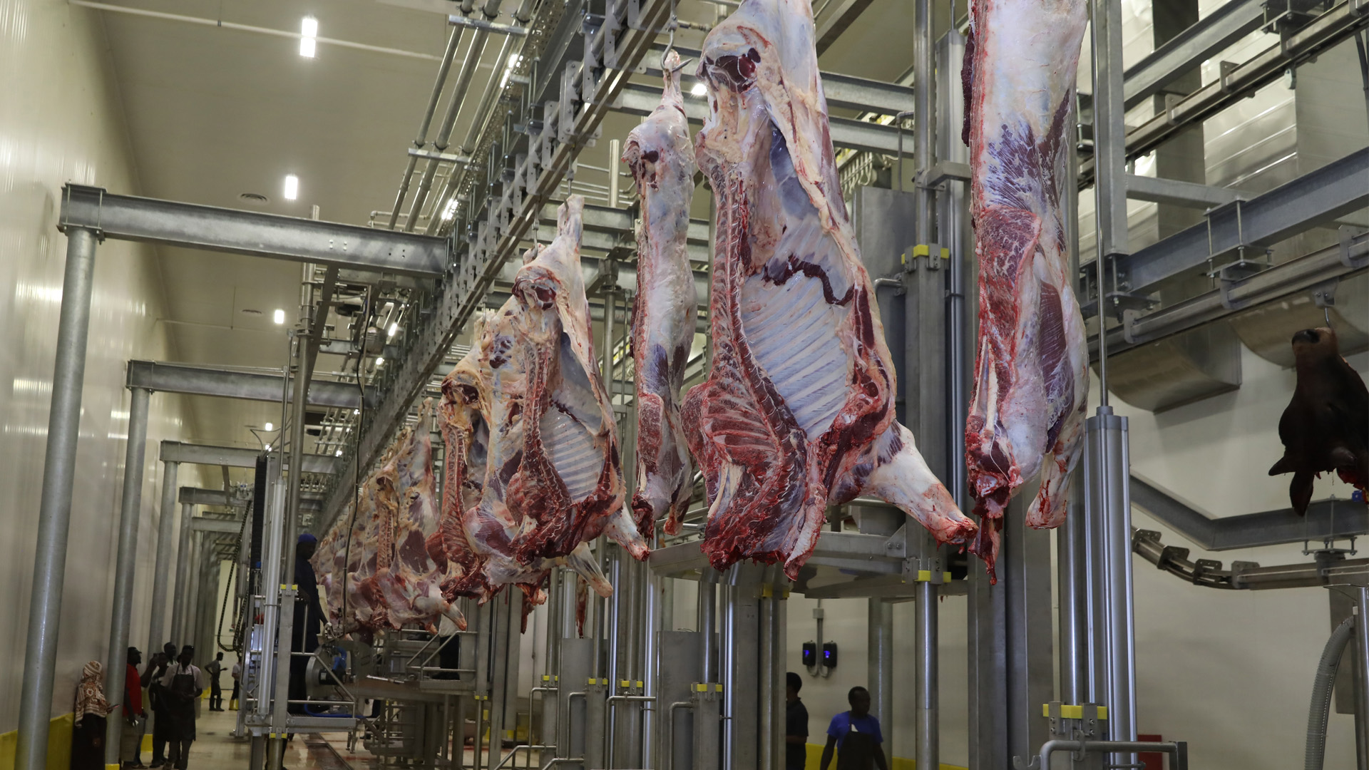 Nous avons achevé la construction de l'un des plus grands abattoirs d'Afrique