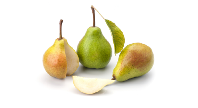 Armut Soğuk Hava Deposu