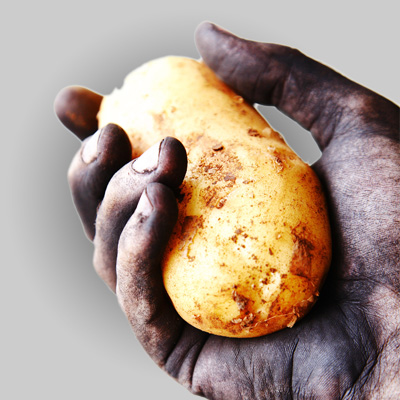 Potato Cold Storage Room