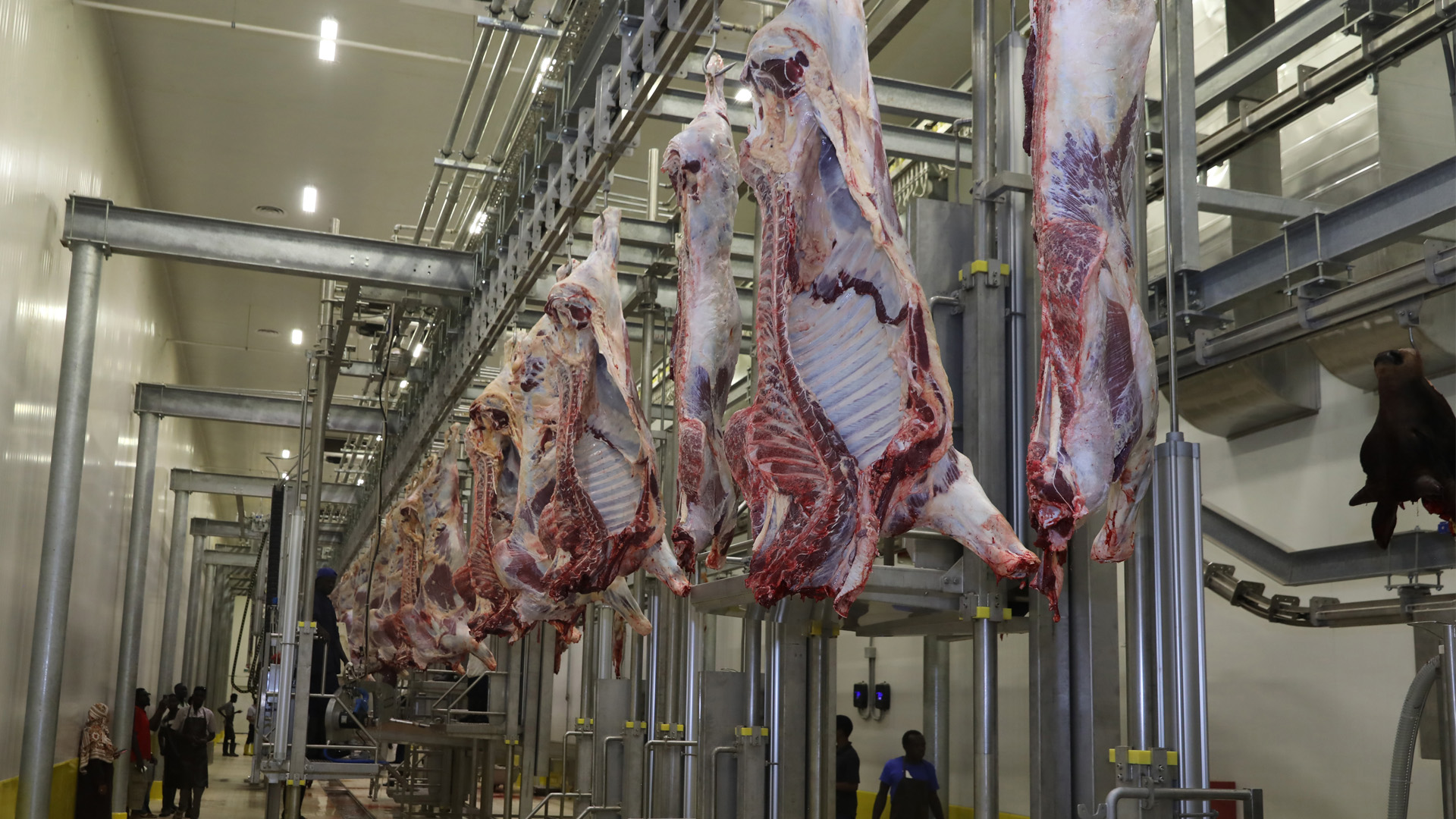 We completed the construction of one of the largest slaughterhouses in Africa