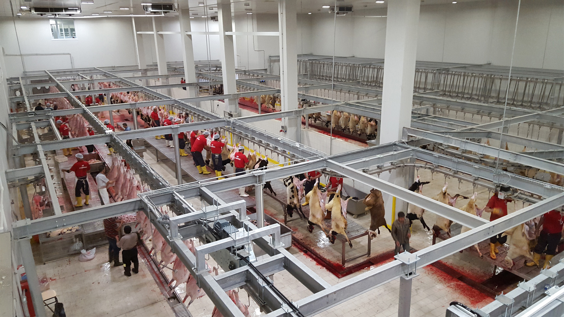 Slaughterhouse and Meat Processing Facilities