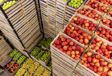 Atmosphere Controlled Cold Storage Room