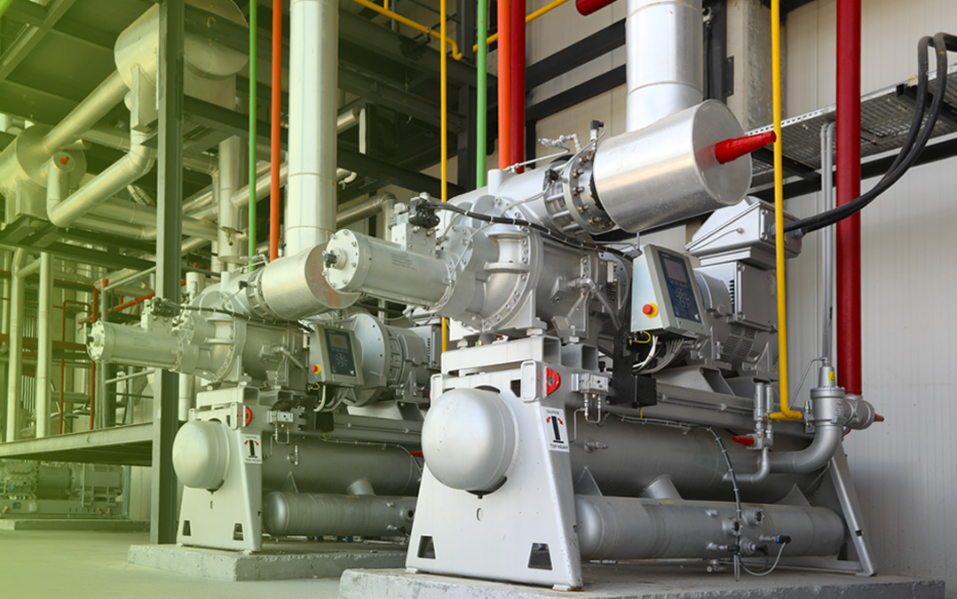 Doğa Manzarası - Orman