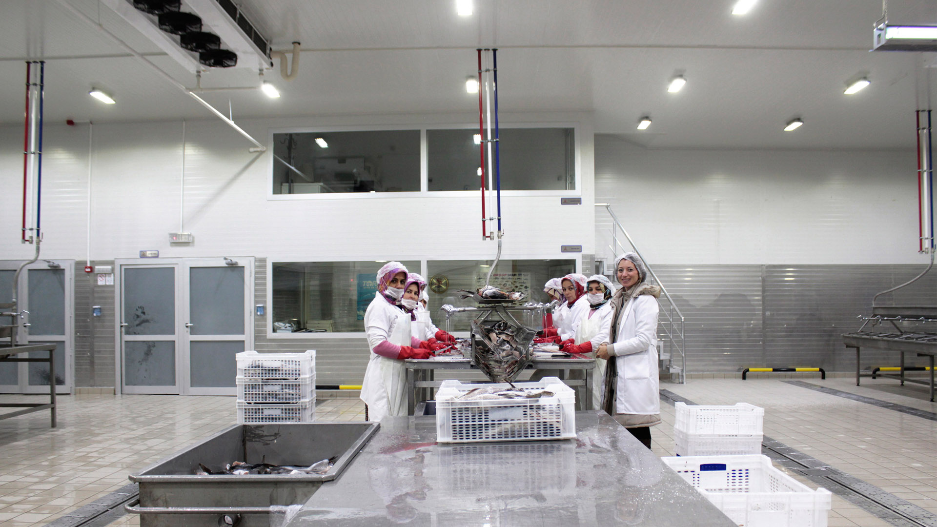 Processing Facilities | Cantek Group