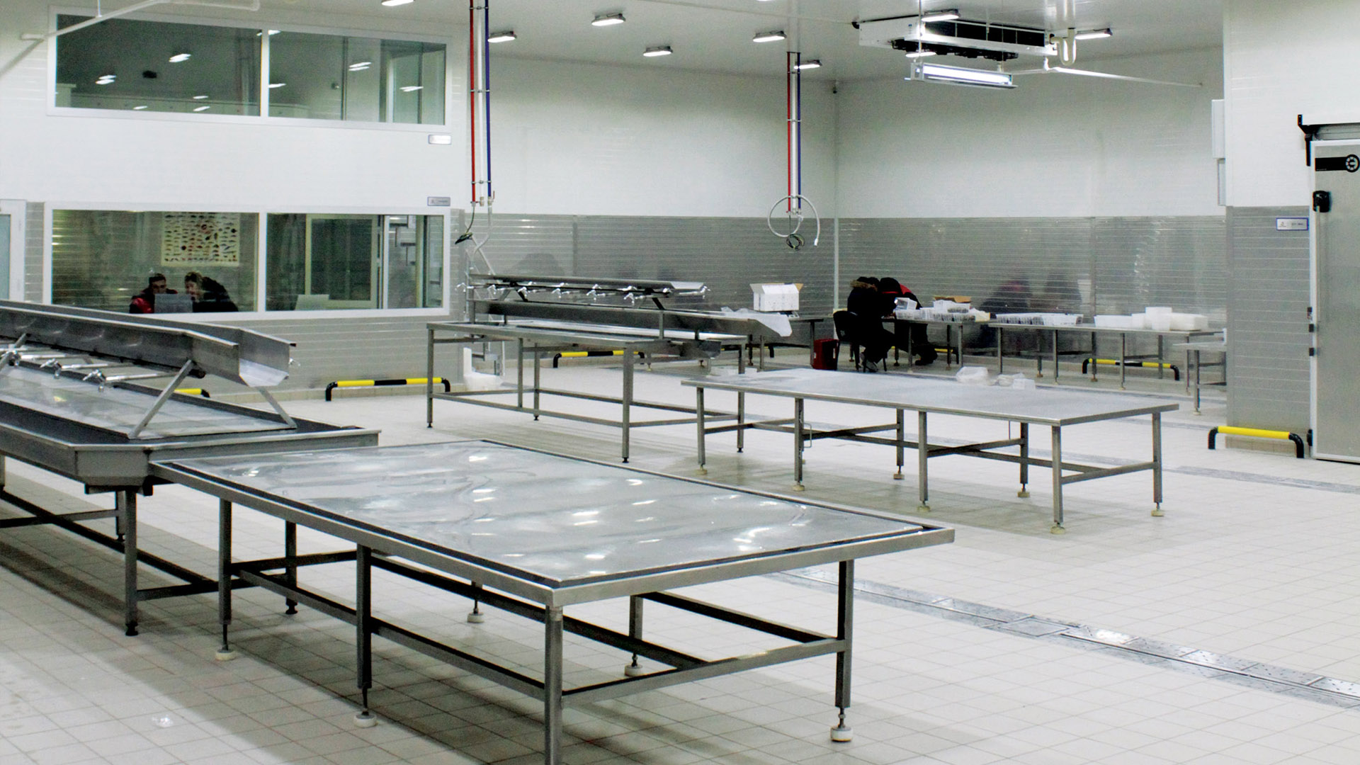 Processing Facilities | Cantek Group