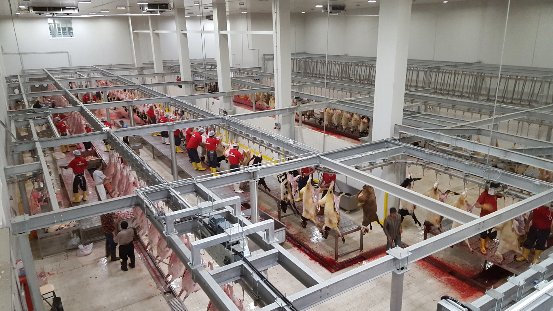 Kırmızı Et Mezbaha ve İşleme Tesisleri